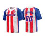 Puerto Rico 'Boricua' Custom Baseball Jersey